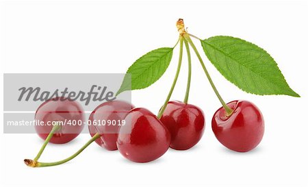 Sweet cherry berry fruit isolated on white background