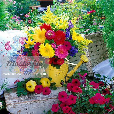 BOUQUET OF PINK  YELLOW  PURPLE FLOWERS IN YELLOW WATERING CAN IN GARDEN