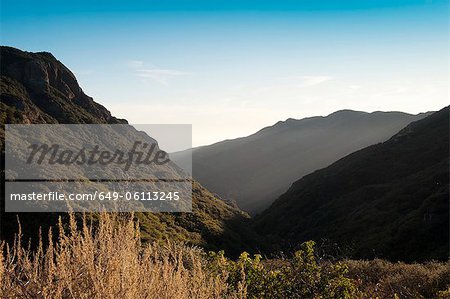 Plants growing on hillsides in valley, Malibu, California, USA