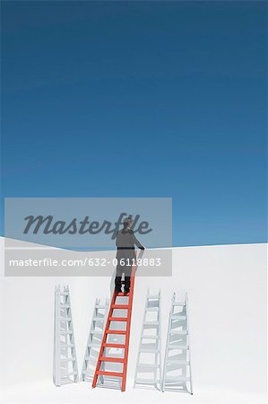 Businessman climbing ladder, rear view