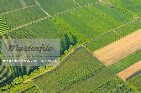 Aerial View of Vineyard and Fields, Volkach, Bavaria, Germany