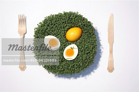 Osterei und gekochtes Ei auf Kresse