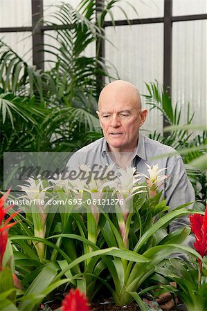 Senior man in botanical garden center