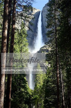 Surrounding forest and Yosemite Falls in Yosemite National Park, California, U.S.A.