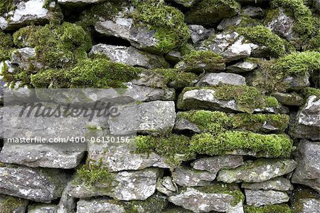 Drystone wall detail, Peak District National Park, Derbyshire, England, UK, taken in January 2006