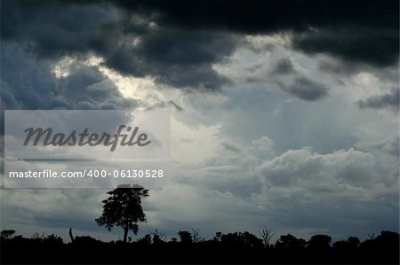 A storm is approaching in Hwange National Park, Zimbabwe.