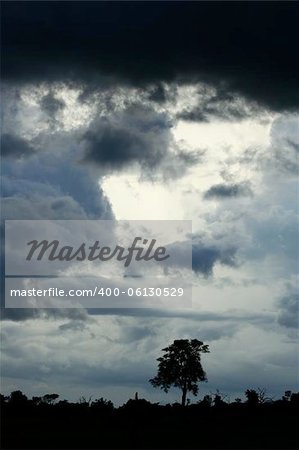 A storm is approaching in Hwange National Park, Zimbabwe.