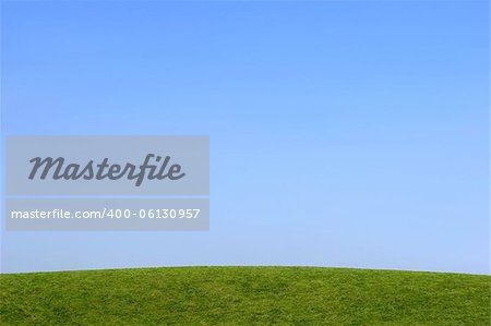 Grass hillside with a clear blue sky.