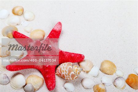 Decorative red sea star with different shells on sand background
