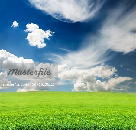 blue cloudy sky with green grass in the field in summer