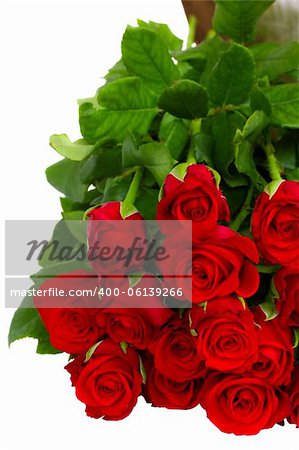 bouquet of red roses isolated on white background