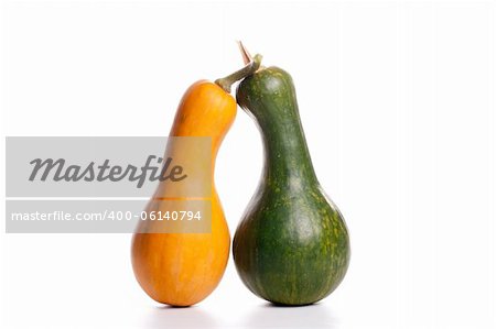 Pumpkins isolated on a white background