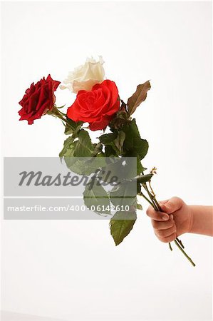 Young girls hand holding three roses