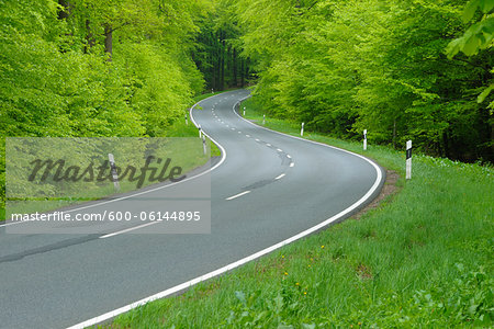 Road Through Forest, Spessart, Bavaria, Germany Road Through Forest, Spessart, Bavaria, Germany