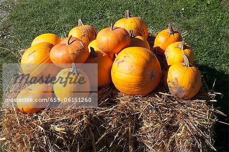 Orange pumpkins on a bale of hay