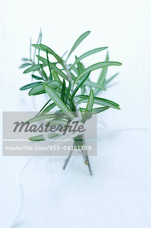 A bunch of fresh rosemary