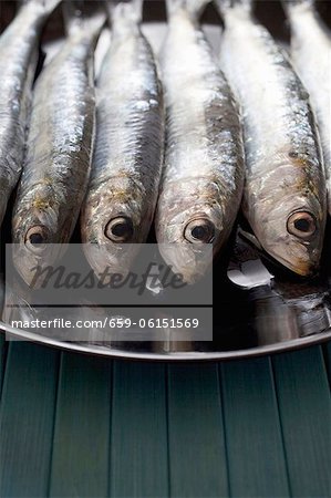 A plate of fresh sardines