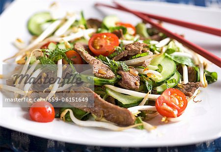 Orientalischer Salat mit Streifen vom Rind