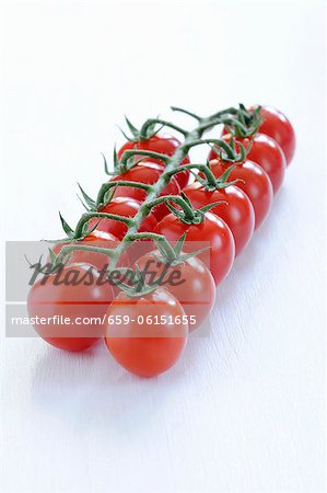 Tomatoes on the vine