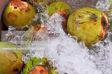 Coconuts in water
