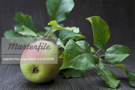 Apple avec feuilles