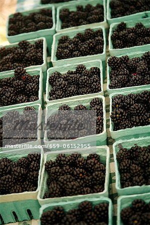 Organic Blackberry Display at Farmer's Market