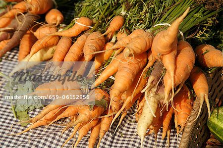 Organic Carrots at Farmer's Market