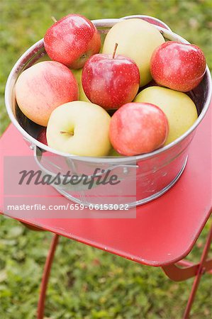 Pommes fraîches dans un bol en métal sur une table de jardin Pommes fraîches dans un bol en métal sur une table de jardin