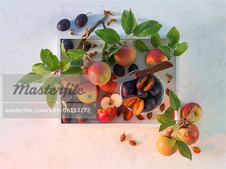 Un arrangement des pommes et des prunes de Damas