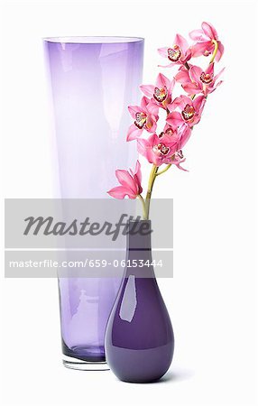 Two Glass Vases; One with Pink Flowers; White Background