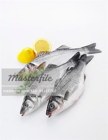 Trois loup de mer frais, citron et aneth Trois loup de mer frais, citron et aneth