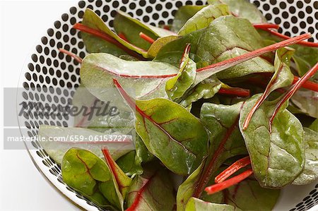 Feuilles de bette à carde de bébé dans un panier