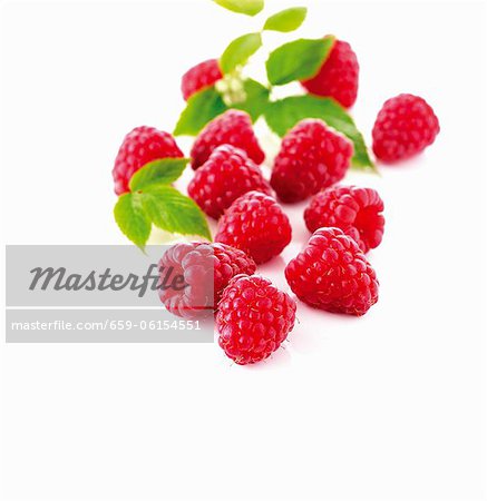 Fresh raspberries with leaves