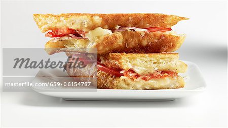A toasted cheese and tomato sandwich