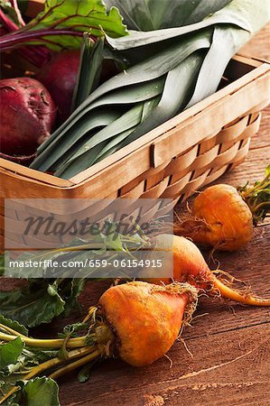 Organic Golden Beets Next to a Basket Filled with Red Beets and Leeks