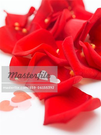 Rote Rosenblüten und Herzen