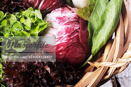 Basket of Fresh Leaf Vegetables