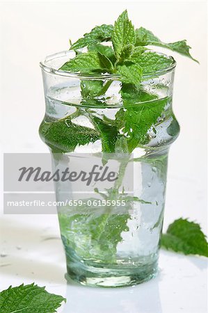 Peppermint in a glass of water Peppermint in a glass of water