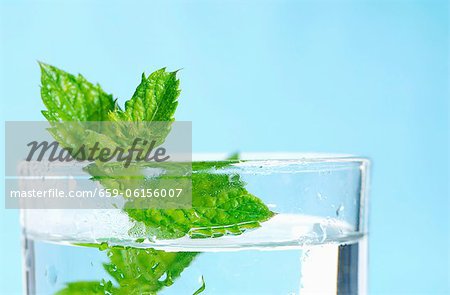 Menthe fraîche dans un verre d'eau Menthe fraîche dans un verre d'eau