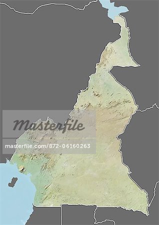 Relief map of Cameroon (with border and mask). This image was compiled from data acquired by landsat 5 & 7 satellites combined with elevation data.