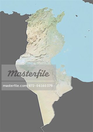 Relief map of Tunisia (with border and mask). This image was compiled from data acquired by landsat 5 & 7 satellites combined with elevation data.