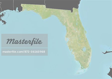 Relief map of the State of Florida, United States. This image was compiled from data acquired by LANDSAT 5 & 7 satellites combined with elevation data.