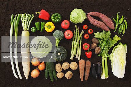 Sammlung von verschiedenen Gemüse vor braunen Hintergrund