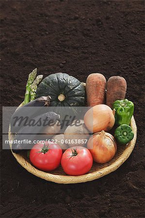 Basket Filled With Variety Of Vegetables