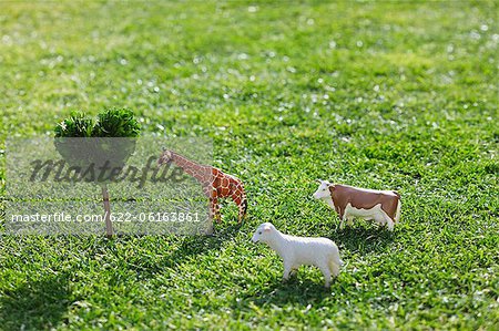 Animaux, arbre en forme de cœur sur terrain herbeux