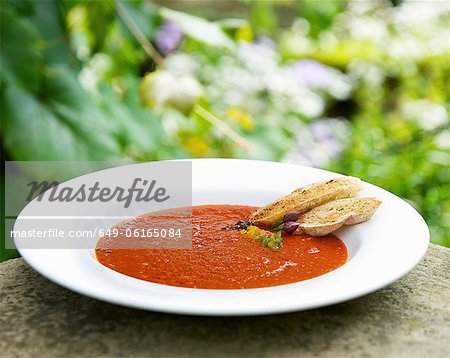 Bol de soupe aux tomates et au basilic