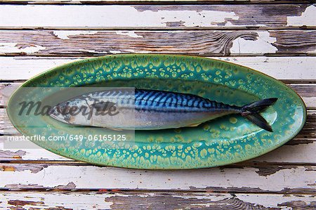 Close up of mackerel on plate