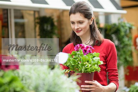 Frau hält eine Topfpflanze in ein Blumengeschäft