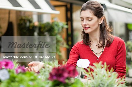 Femme toucher les fleurs dans un magasin de fleurs