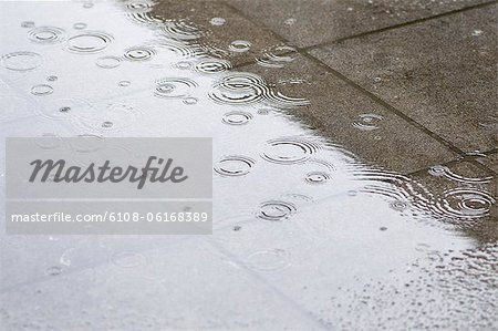 Wet street during rain
